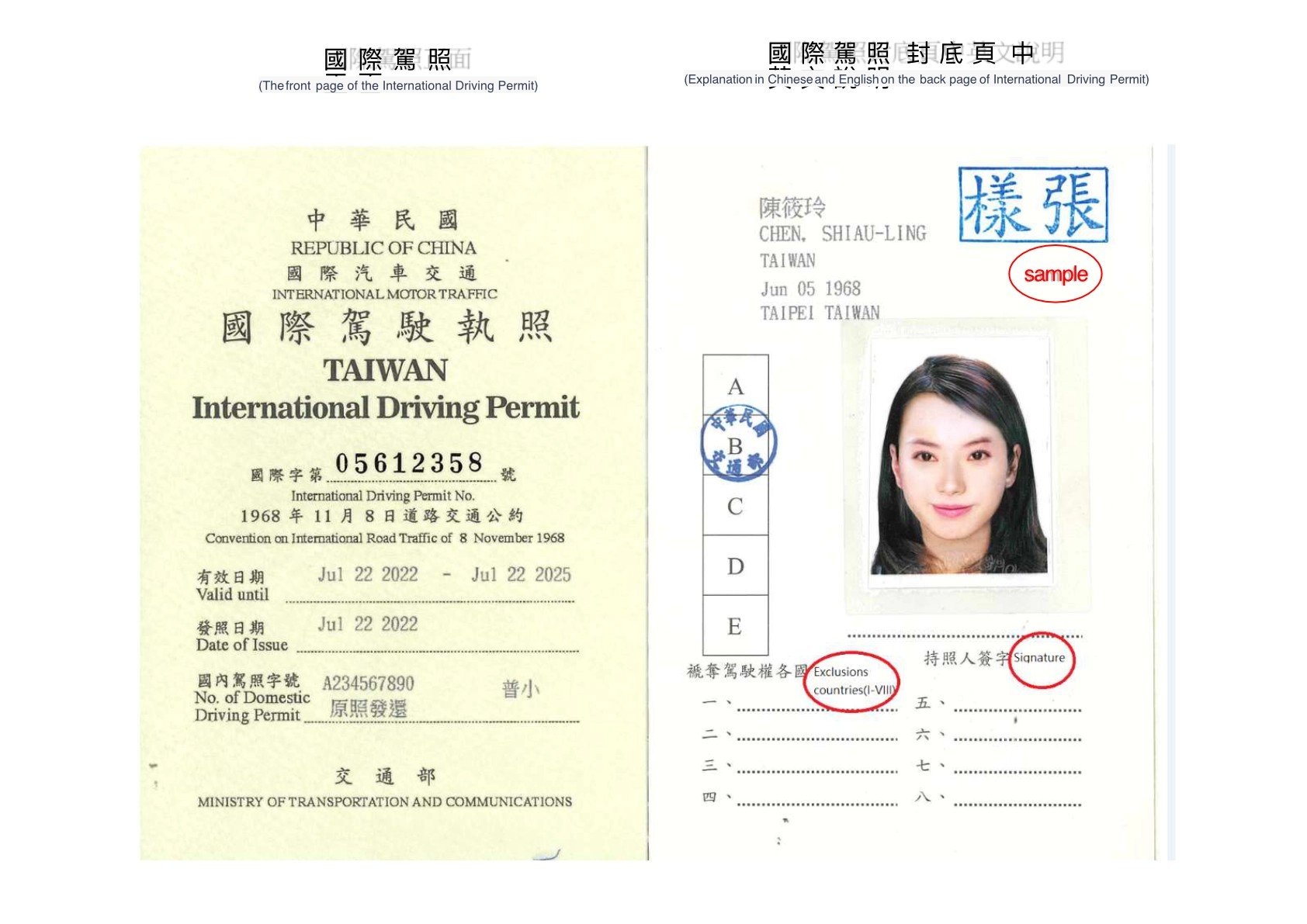 駕駛必備物品示意圖